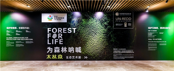 联合国与中国绿化基金会携手“为森林米乐m6呐米乐m6官网官网登录入口喊”(图1)